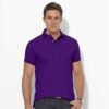 purple-with-yellow-pony